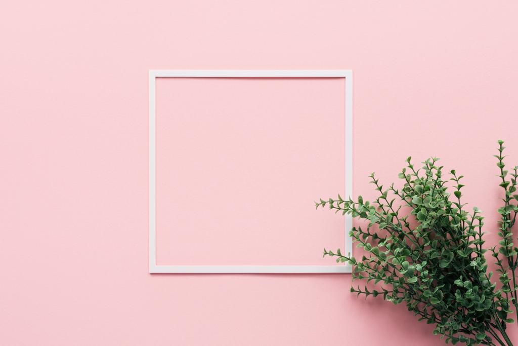 Draufsicht auf weiße quadratische und grüne Pflanze auf rosa, minimalistisches Konzept - Foto, Bild