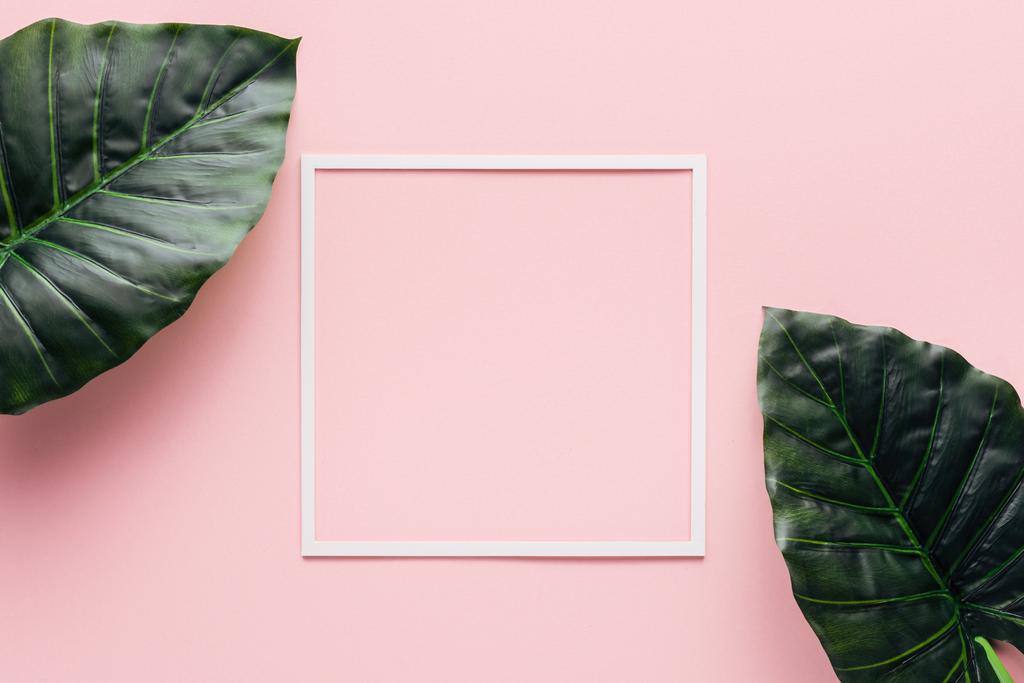  top view of white square and palm leaves on pink, minimalistic concept  - Photo, Image