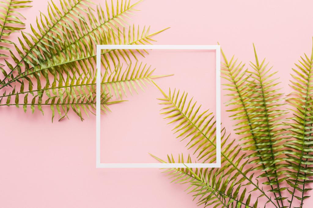 verhoogde weergave van fern takken en witte frame in roze - Foto, afbeelding