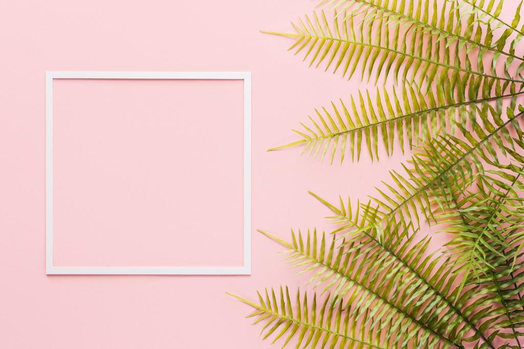 flat lay with fern branches and white frame on pink - Photo, Image