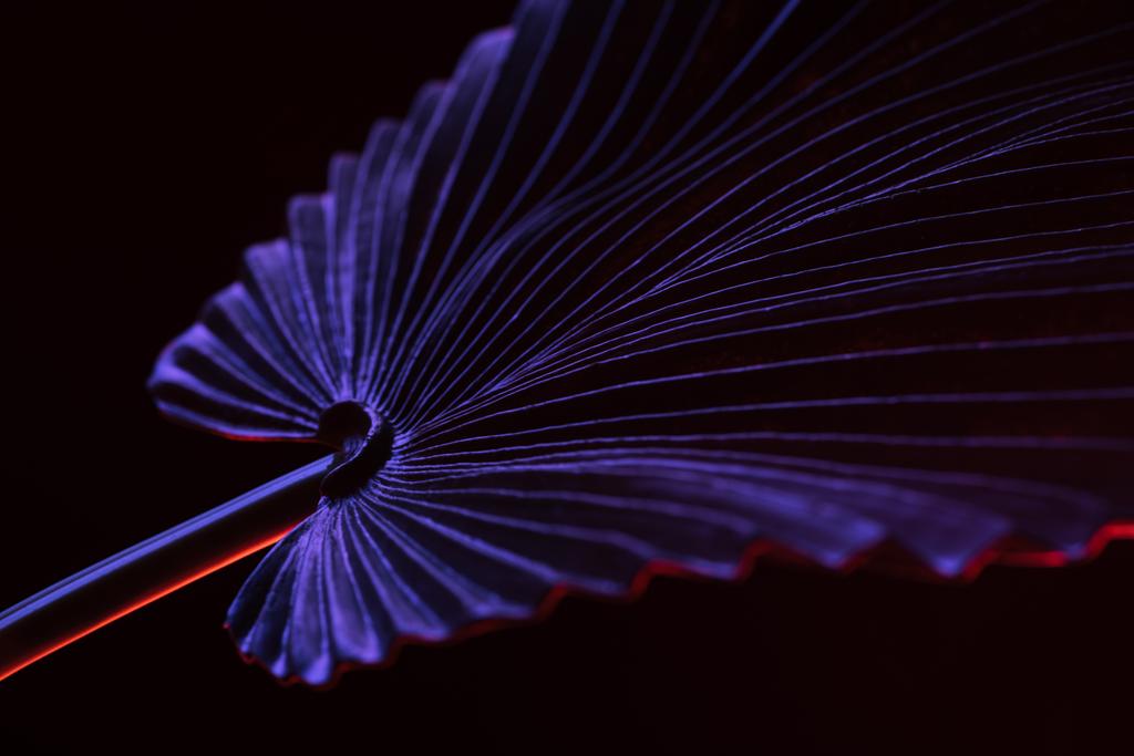 тоноване зображення красивого тропічного листа з фіолетовим освітленням ізольовано на чорному
 - Фото, зображення