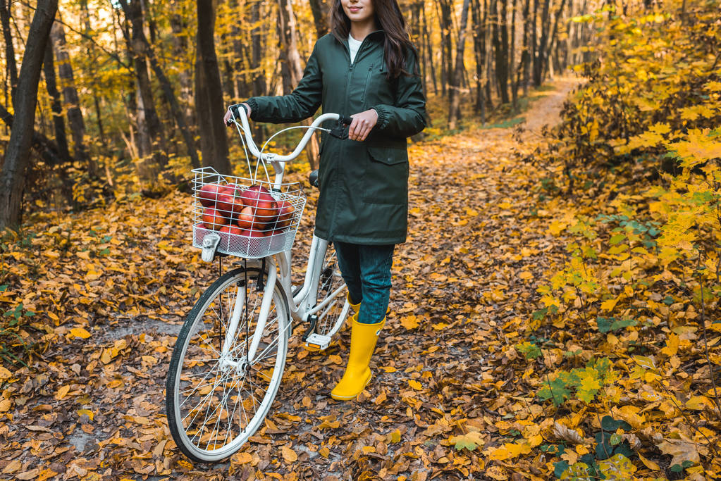 részleges kilátás nyílik a nő kezében kerékpár kosár tele sárga őszi erdő Alma  - Fotó, kép