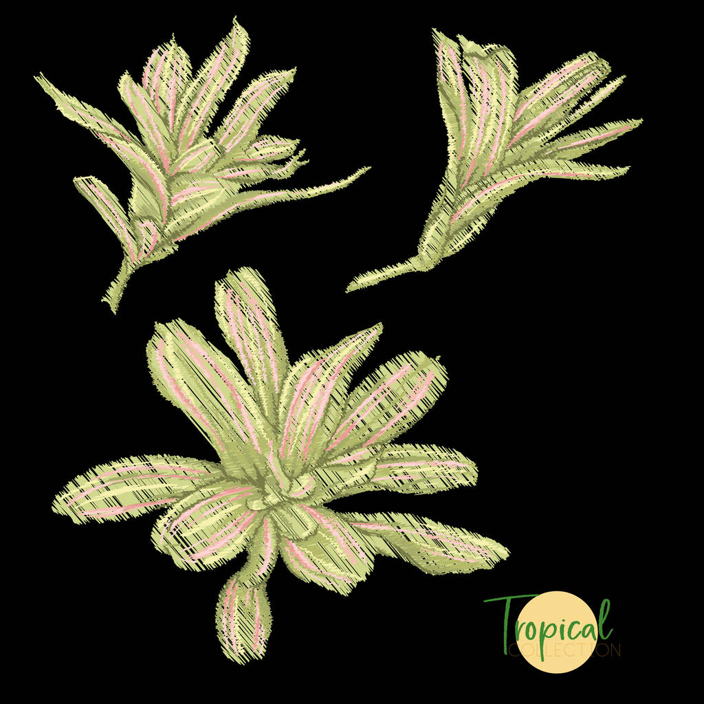 Hímzés a trópusi növényekkel design elemek. Színes vektoros illusztráció. Elszigetelt fekete háttér - Vektor, kép