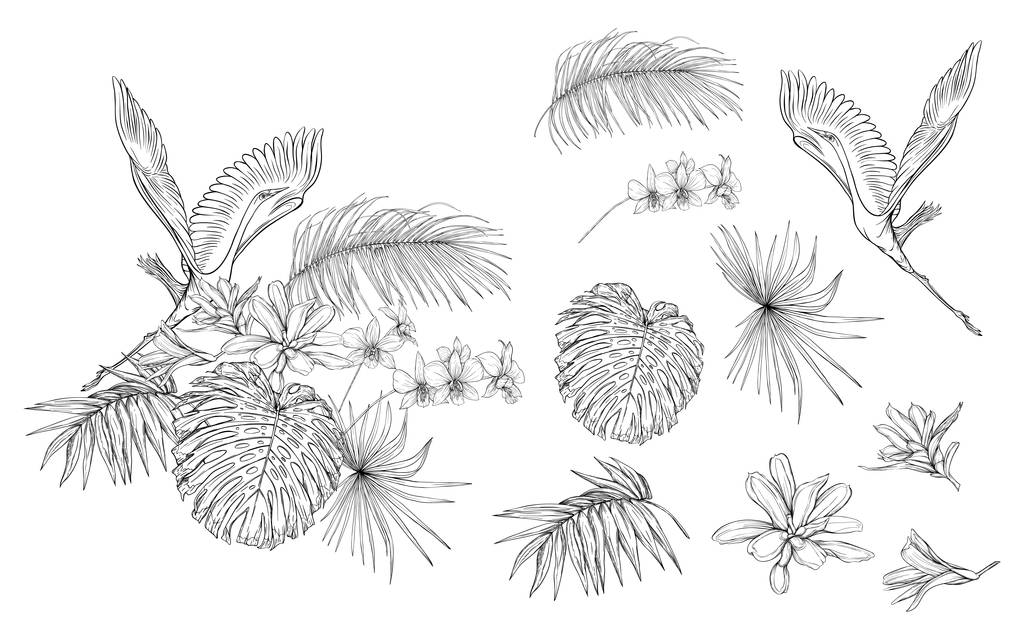 Set of elements for design with tropical plants, palm leaves, monsters, orchids and white heron birds. Graphic drawing, engraving style. vector illustration - Vector, Image