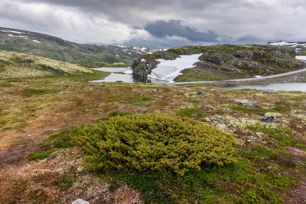 Paisaje de montaña a lo largo de la ruta turística nacional Aurlandstjellet. Flotane. Bjorgavegen. Noruega Occidental
 - Foto, imagen
