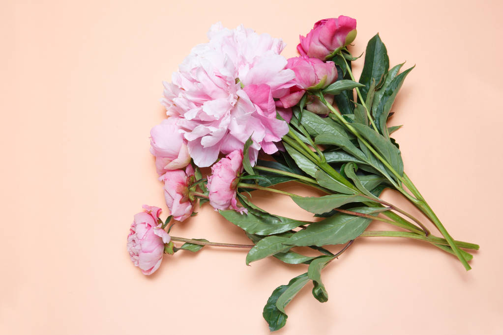 Egy csokor rózsaszín pünkösdi rózsa fekszik a lazac színű háttérrel . - Fotó, kép