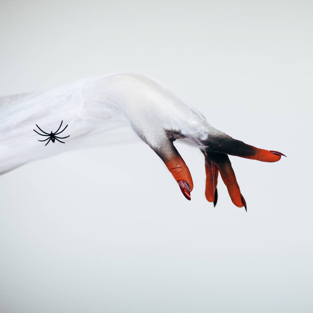 Inquietante mano strega mostro di Halloween con bianco, rosso e nero trucco e lunghe unghie raccapriccianti e ragno con ragnatela davanti allo sfondo bianco
  - Foto, immagini