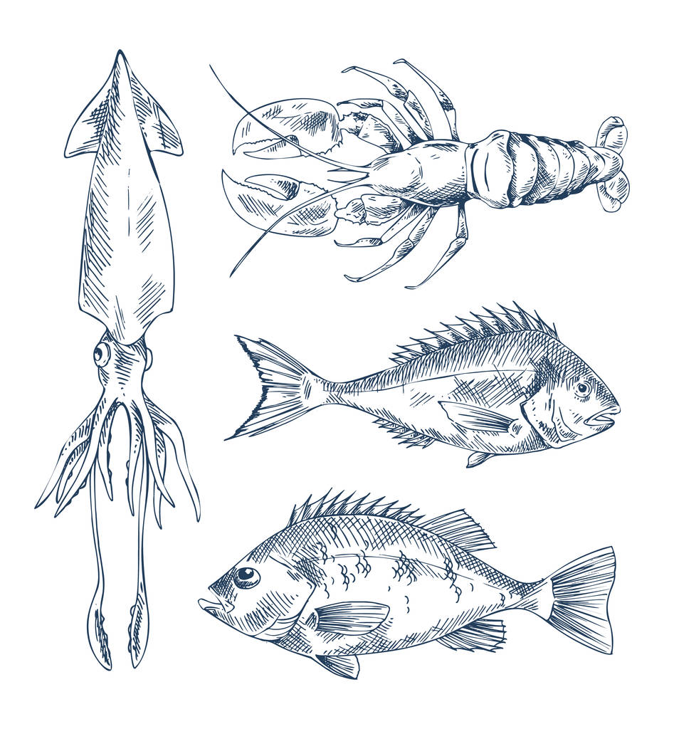 Meeresfrüchte und Fisch Vektorgravur Illustration - Vektor, Bild