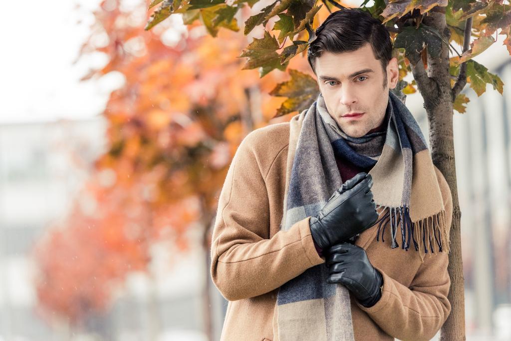 красивий чоловік у пальто, шкіряні рукавички та шарф, що стоять під автентичним кленовим деревом на вулиці
 - Фото, зображення