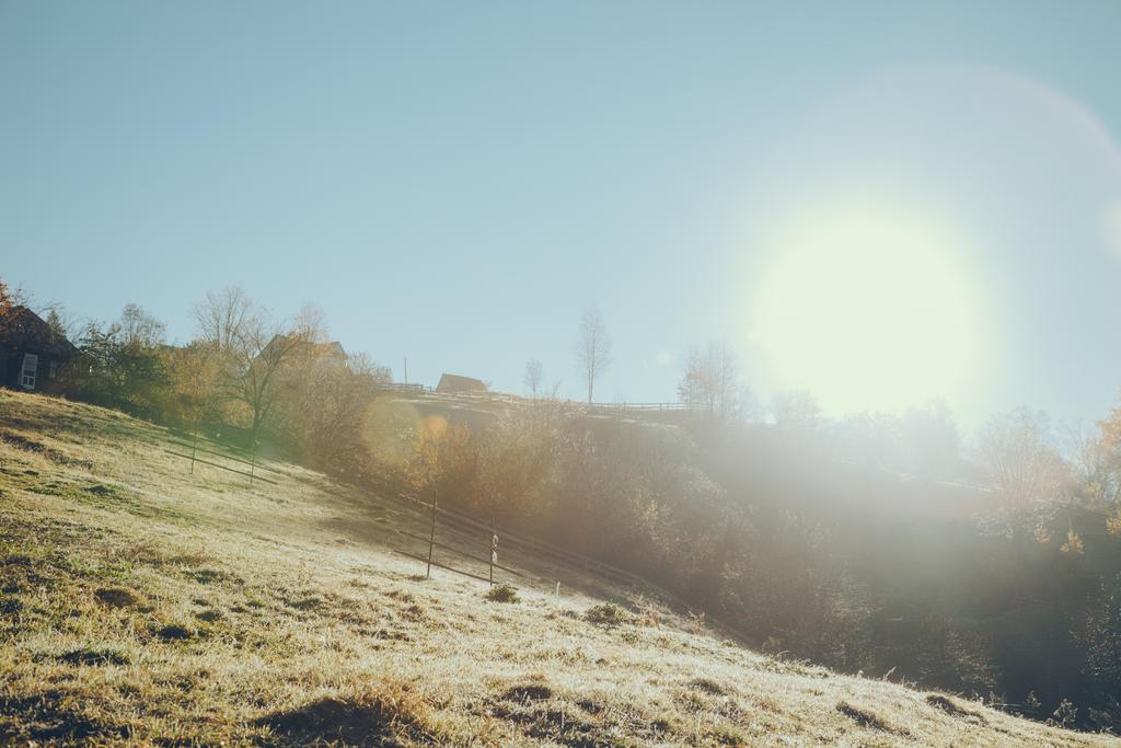 schöne Alm in Worochta am sonnigen Tag, Karpaten, Ukraine - Foto, Bild