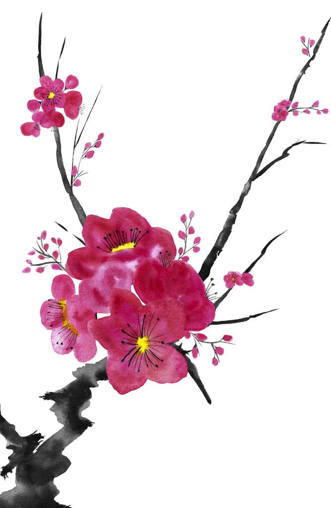 Гілка квітучого дерева. Рожеві і червоні стилізовані квіти сливового мея, дикі абрикоси і сакура. Ілюстрація акварелі та чорнила в стилі сумі-е, u-sin. Східна традиційна картина
.   - Фото, зображення