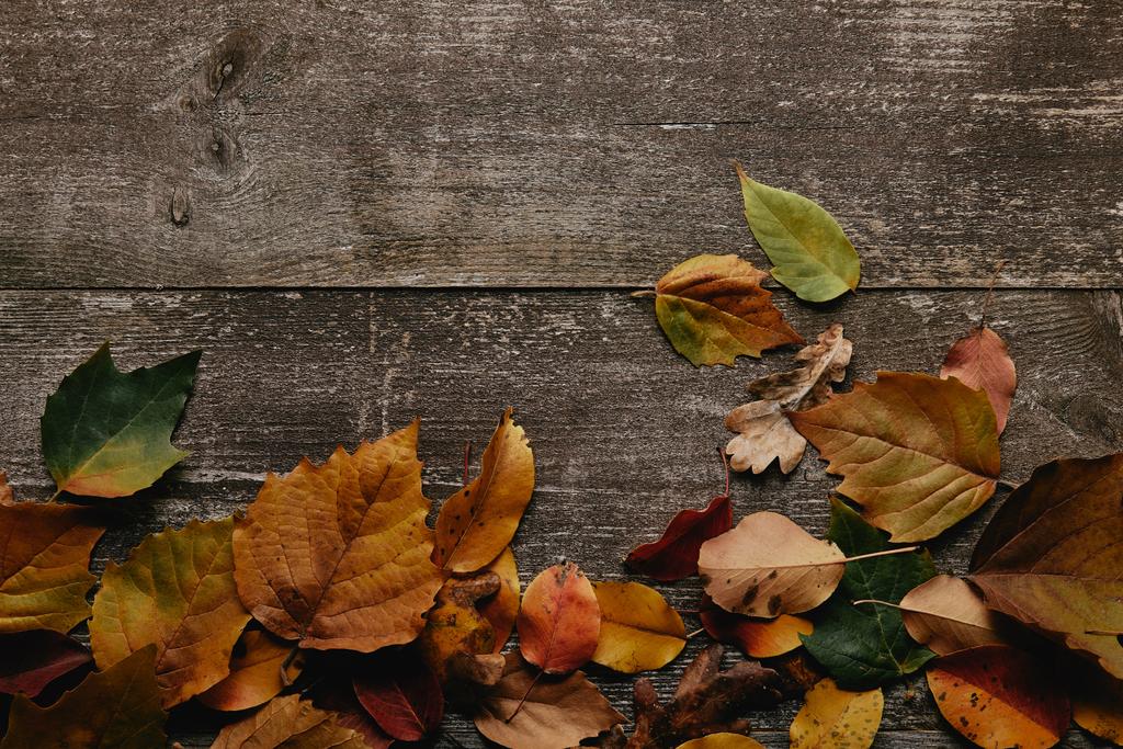επίπεδη lay με ζωηρόχρωμα πεσμένα φύλλα σε ξύλινη επιφάνεια - Φωτογραφία, εικόνα