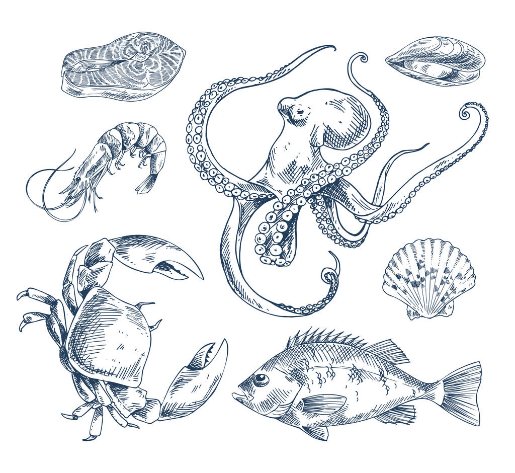 Meeresfrüchte Skizze Illustration monochromes Plakat - Vektor, Bild