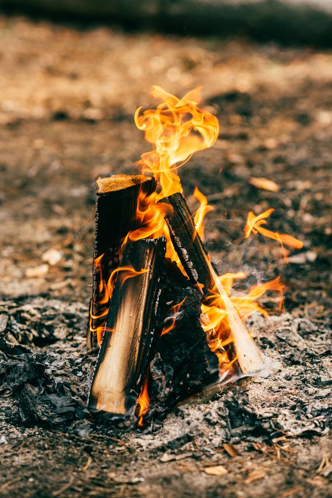 森でたき火木材燃焼のクローズ アップ - 写真・画像