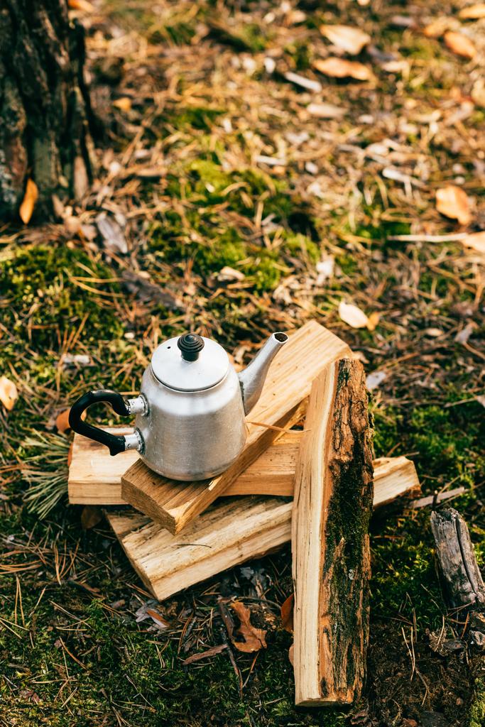 metallic kettle on pile of firewood on autumnal background - Photo, Image
