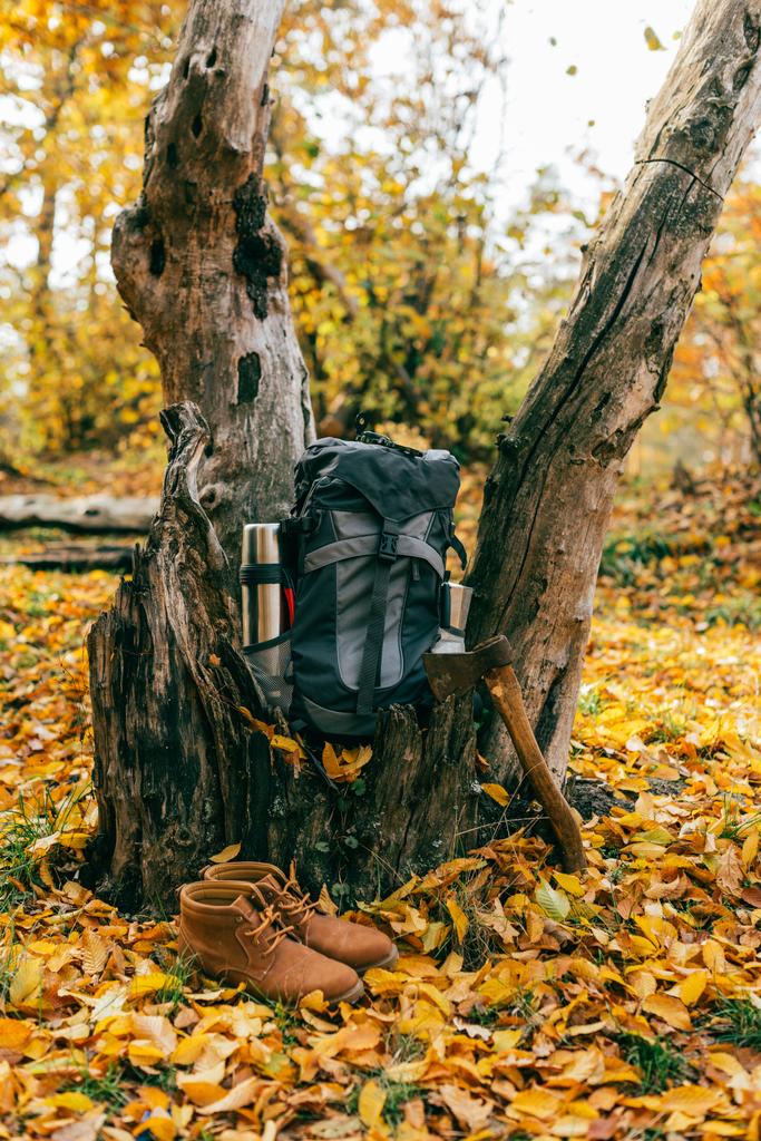 camping supplies on autumnal background with foliage  - Photo, Image
