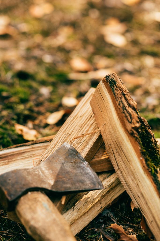 gros plan du tas de bois de chauffage haché sur le sol avec hache dans la forêt d'automne
 - Photo, image