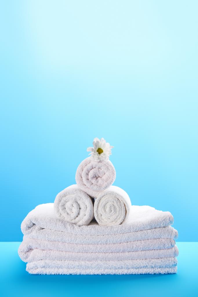 zbliżenie z czystą bielą, ułożone i walcowane ręczniki z rumianku piękny kwiat na niebieski - Zdjęcie, obraz
