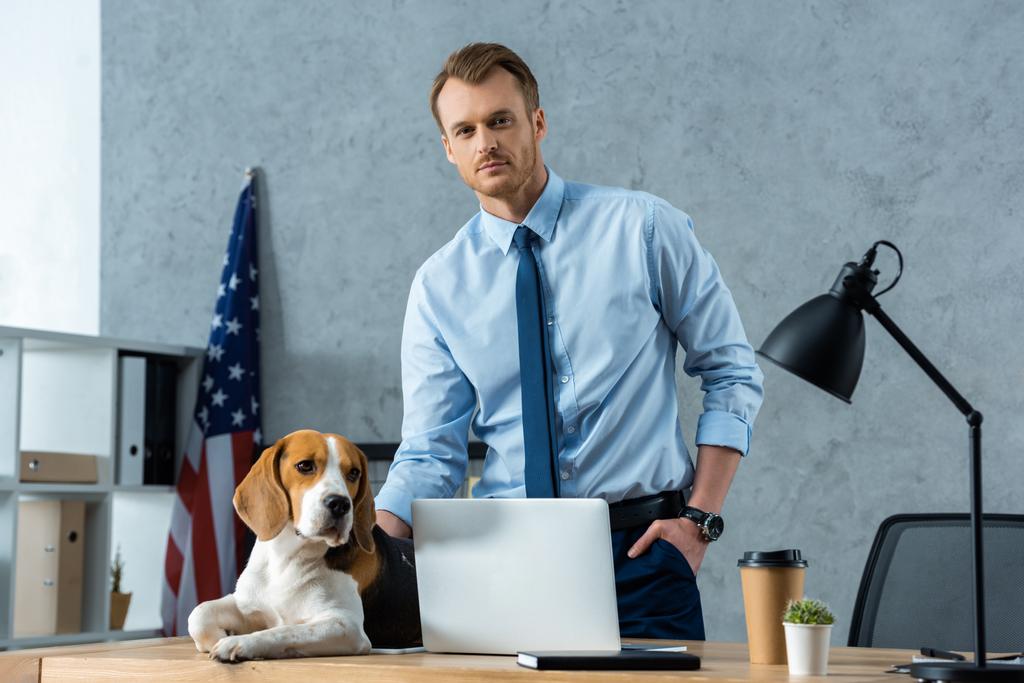 young businessman touching beagle at table with laptop and disposable coffee cup in modern office - Photo, Image