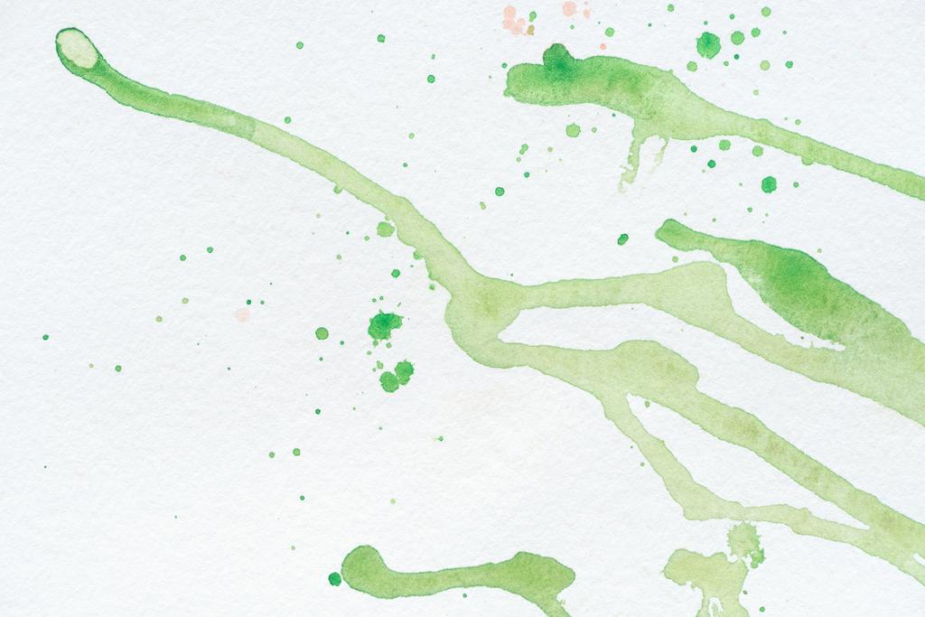 macchie astratte di acquerello verde su carta bianca
 - Foto, immagini