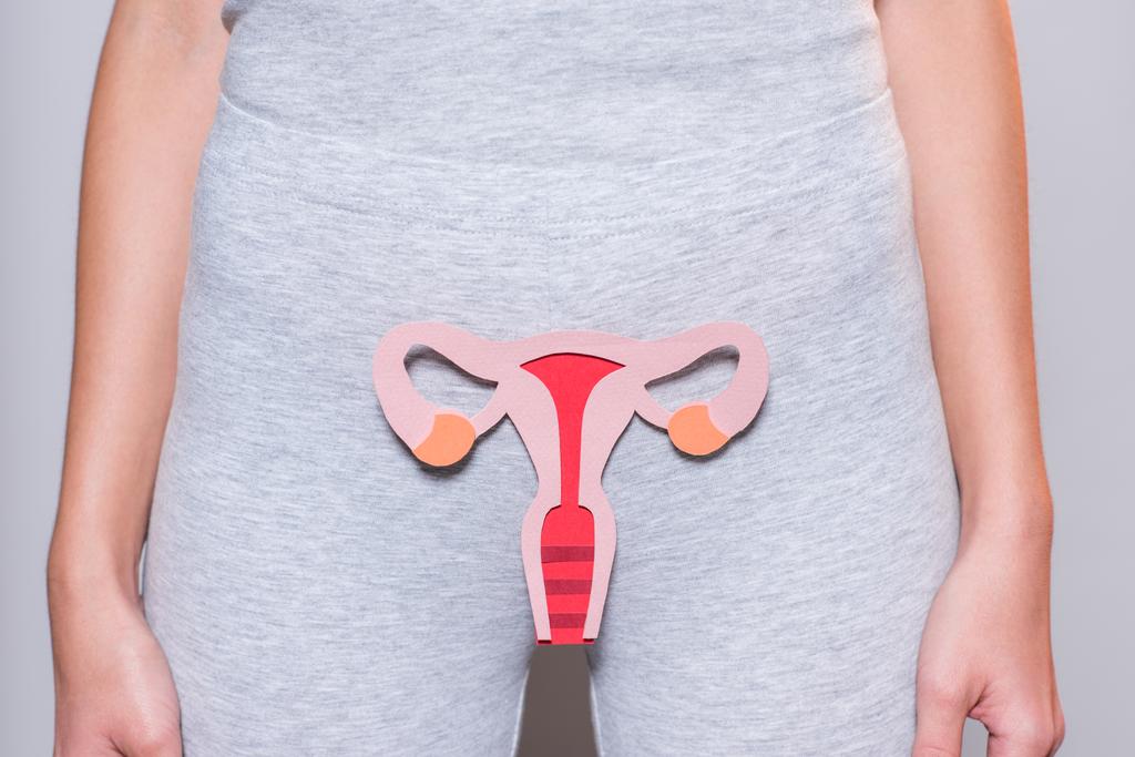 visión parcial de la mujer con el sistema reproductor femenino de papel sobre fondo gris
 - Foto, Imagen