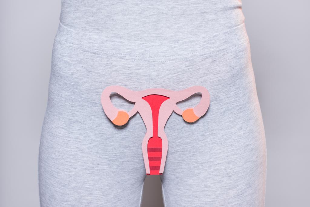 částečný pohled ženy s papírem se ženský reprodukční systém na šedém pozadí - Fotografie, Obrázek