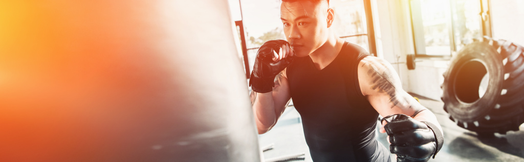 jovem desportista vestindo luvas de boxe e saco de boxe de perfuração no ginásio à luz do sol
 - Foto, Imagem