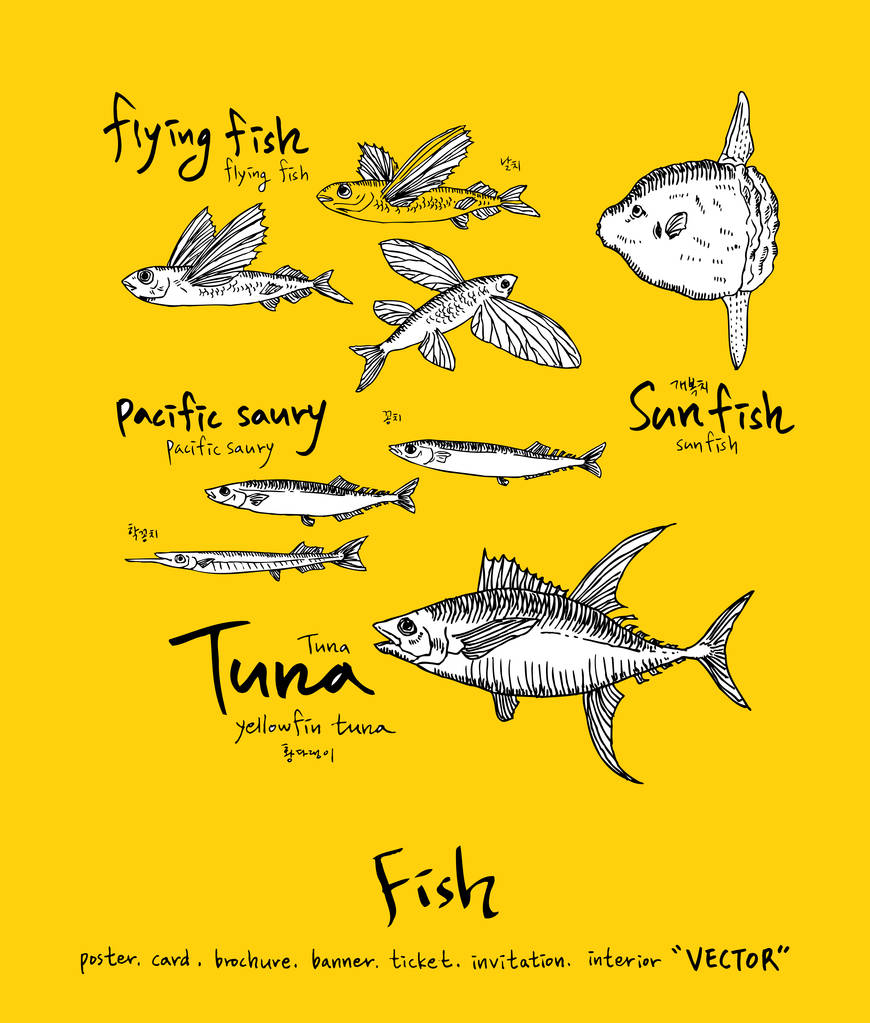 Meeresfrüchte Speisekarte Illustrationen / handgezeichnete Lebensmittelzutaten - Vektor - Vektor, Bild