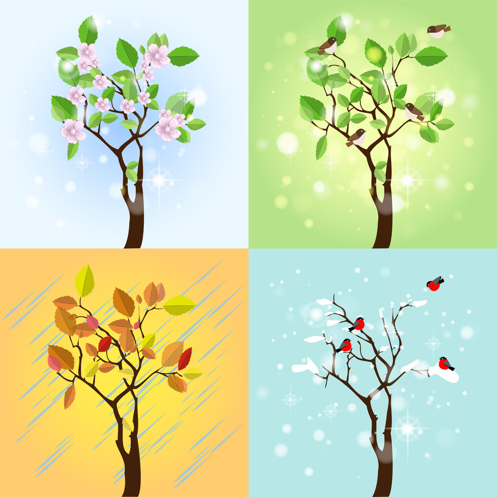 Four Seasons Tree. Vecteur
 - Vecteur, image