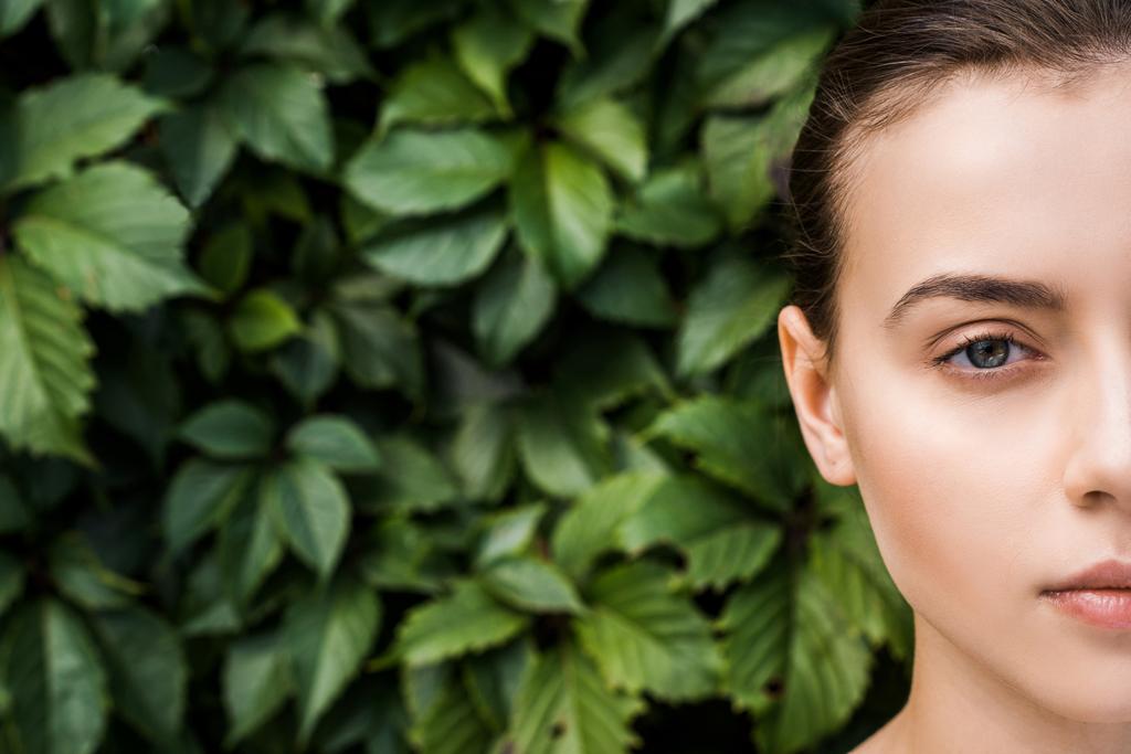 abgeschnittenes Gesicht einer jungen Frau mit grünen Blättern im Hintergrund  - Foto, Bild