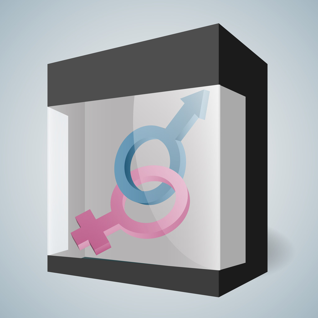 Male and female sign in box. - Vector, Image