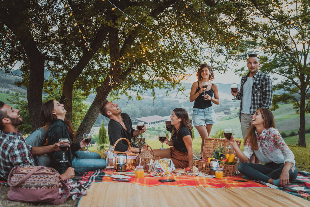 Skupina mladých šťastný přátel mají piknik venku - lidé baví a slaví v průběhu grilování ata barbacue stranou v krajině - Fotografie, Obrázek