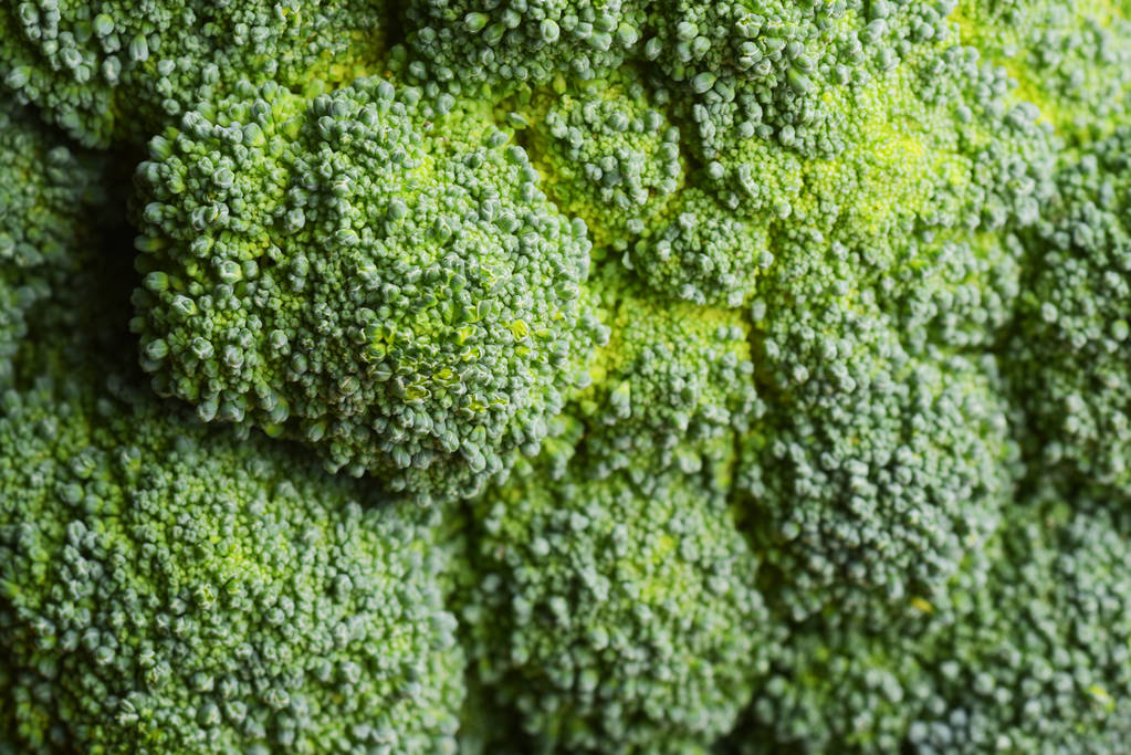 Brócoli verde maduro crudo, fondo alimentario
 - Foto, Imagen