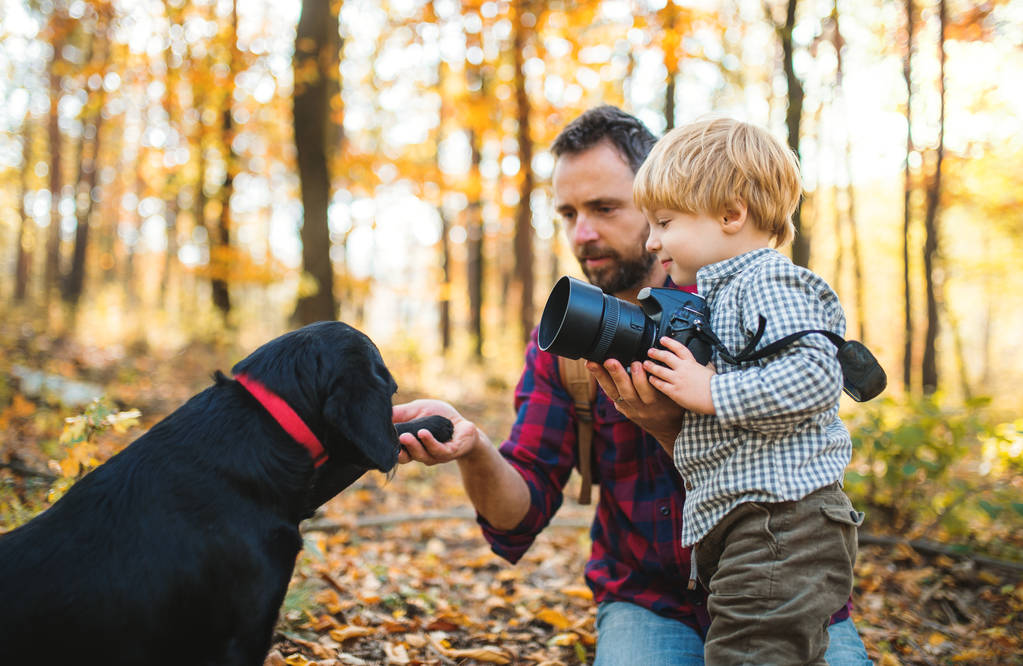 Dojrzałe ojca z psem i syn malucha w lesie jesienią. - Zdjęcie, obraz