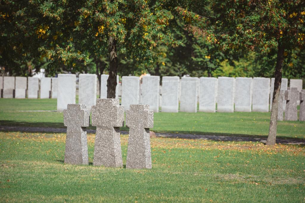 identische Gedenksteinkreuze in Reihe auf Friedhof aufgestellt - Foto, Bild