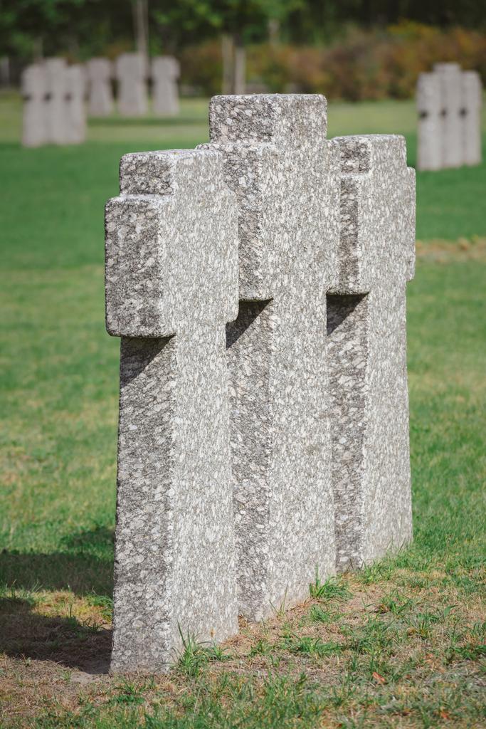 вид одинаковых мемориальных каменных крестов, расположенных в ряд на кладбище
 - Фото, изображение