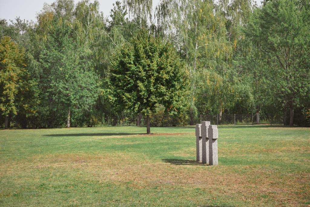 foco seletivo de cruzes de pedra comemorativas colocadas em linha e árvores no cemitério
 - Foto, Imagem