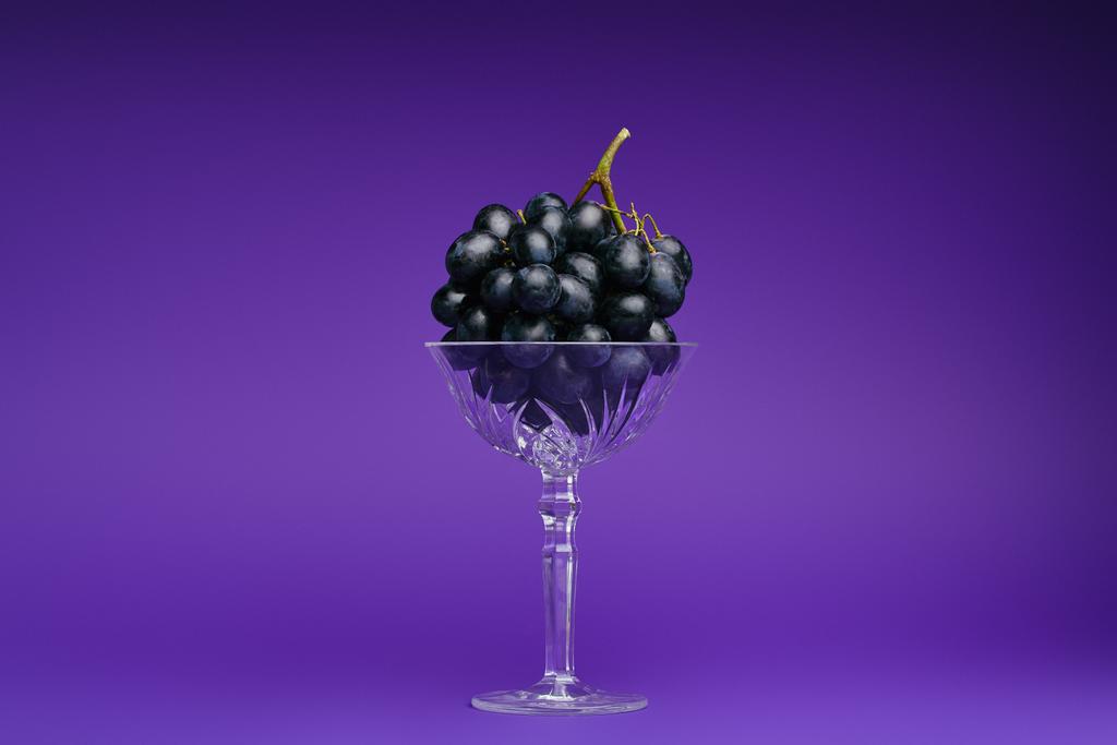 lähikuva tuoreista kypsistä rypäleistä lasissa violetilla pohjalla
 - Valokuva, kuva