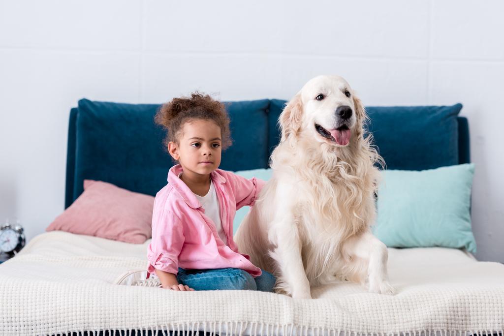 カーリーのアフリカ系アメリカ人子供はベッドに座って、犬の背中に彼女の手を置く - 写真・画像
