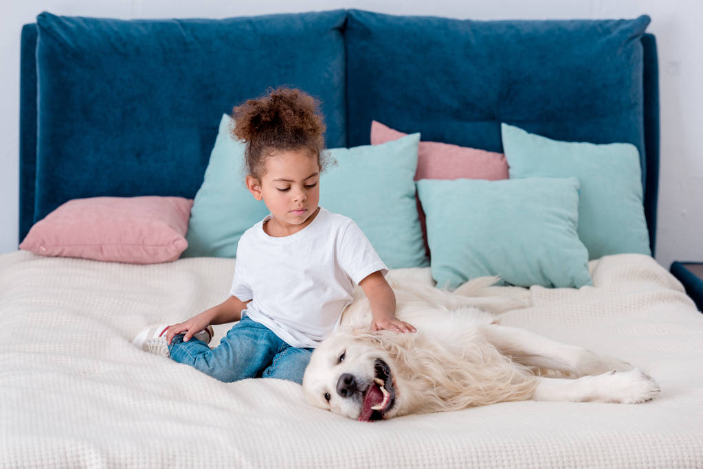 Χαριτωμένο αφρικανική αμερικανική μικρό παιδί που παίζει με το σκύλο στο κρεβάτι - Φωτογραφία, εικόνα
