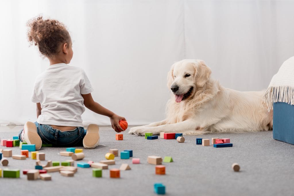 little kid in white t-shirts with happy dog playing with toy cubes - Photo, Image
