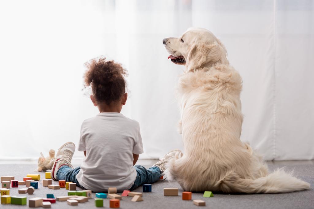 Vista posteriore del bambino in t-shirt bianche con cane felice circondato da cubi giocattolo
 - Foto, immagini