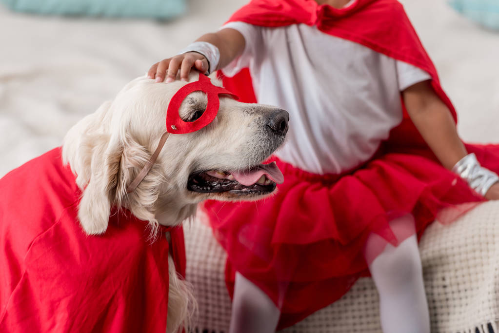 Częściowy widok strony pieszczoty happy golden retriever pies w superhero kostium - Zdjęcie, obraz