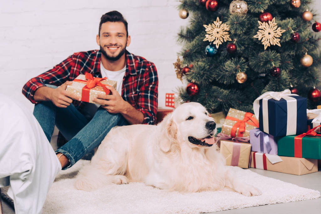 gioioso giovane uomo in possesso di scatola regalo e golden retriever seduto vicino all'albero di Natale a casa
 - Foto, immagini