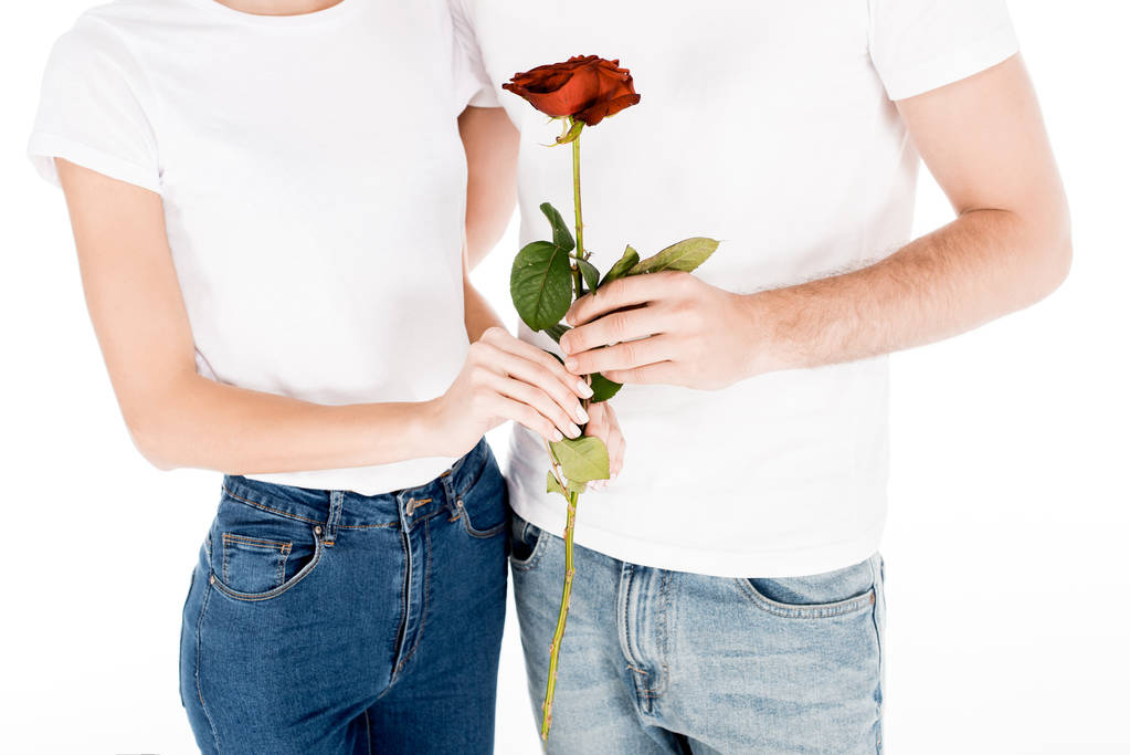 Μερική άποψη της το όμορφο ζευγάρι με κόκκινο τριαντάφυλλο που απομονώνονται σε λευκό  - Φωτογραφία, εικόνα