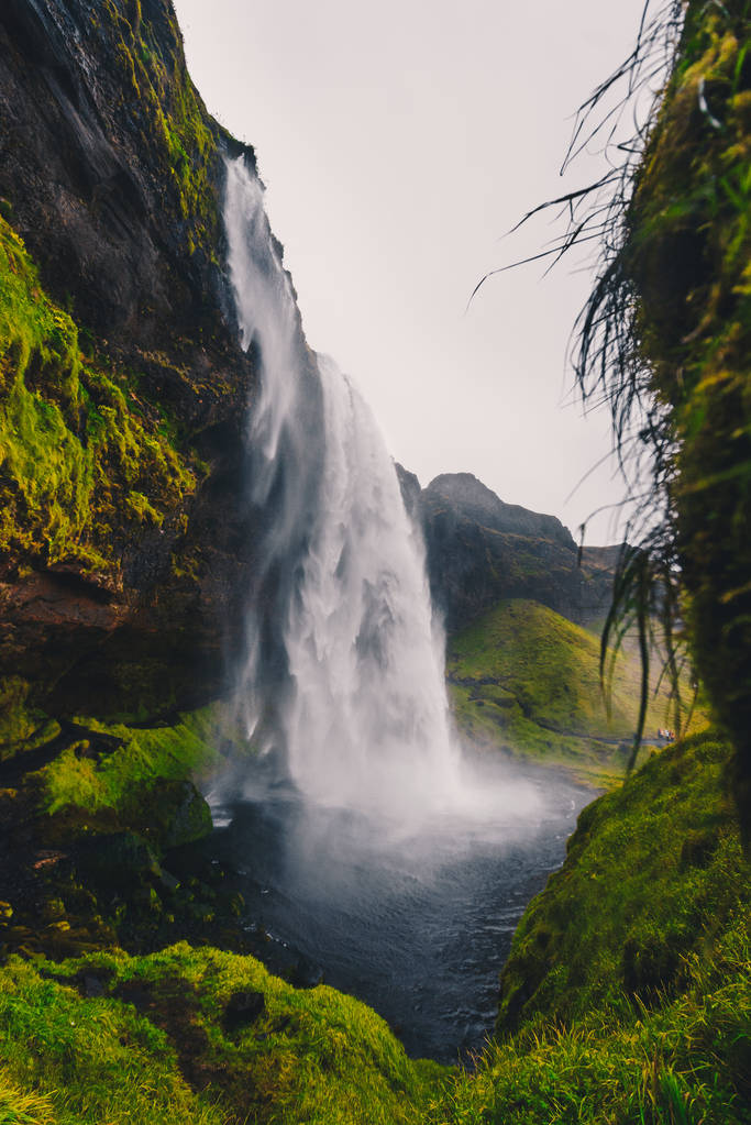 Majestatyczny wodospad Seljalandsfoss w Islandii w jesieni w pochmurna pogoda - Zdjęcie, obraz