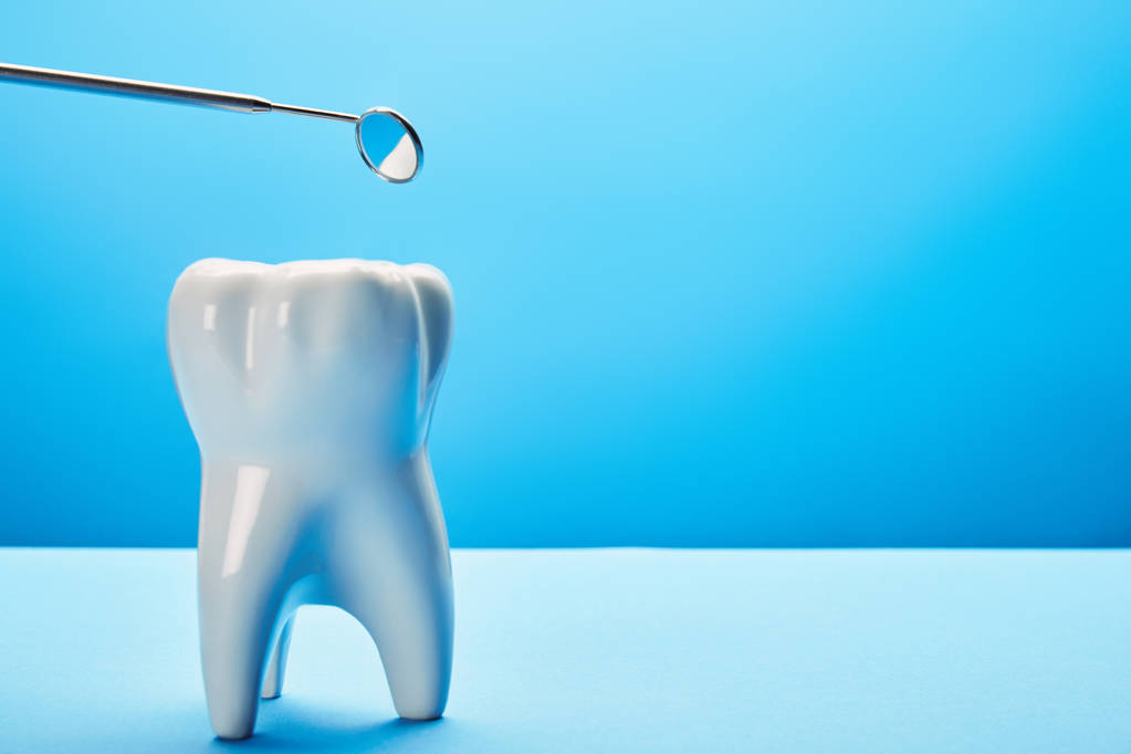 крупним планом вид на модель зуба і дзеркало зубного рота на синьому фоні
 - Фото, зображення