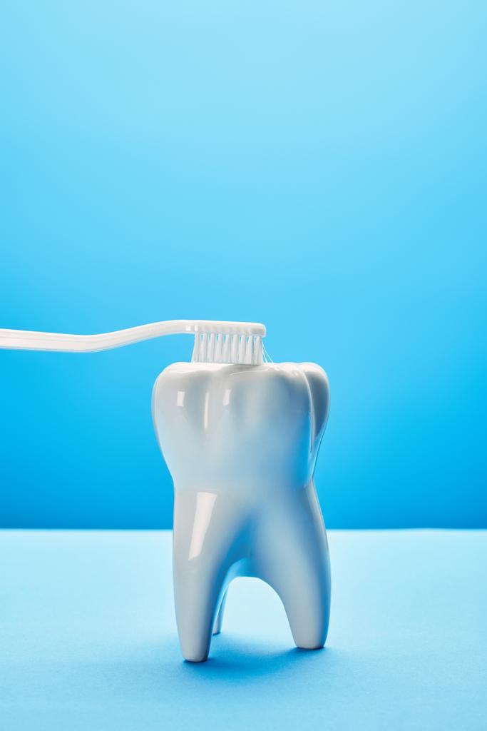 close up vista do modelo de dente e escova de dentes no fundo azul, conceito odontológico
 - Foto, Imagem