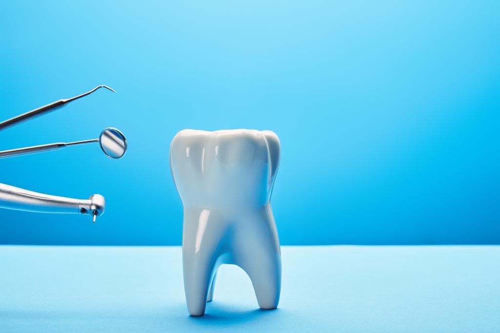 lähikuva valkoinen hammas malli ja ruostumaton hampaiden välineitä sinisellä taustalla
 - Valokuva, kuva