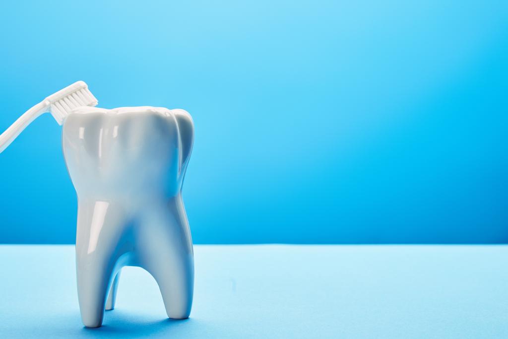 primo piano vista del modello di dente e spazzolino da denti su sfondo blu, concetto di odontoiatria
 - Foto, immagini